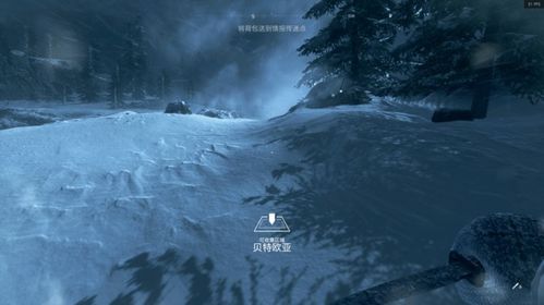 单机游戏北极之光攻略