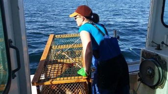 游客感谢女船长带全船人逃过一劫