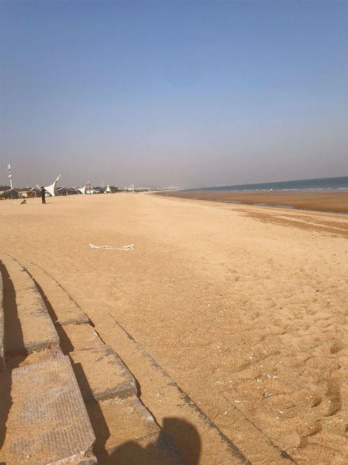 沙滩美食住宿攻略游戏