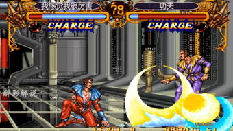 游戏厅打鸟一游戏攻略