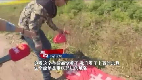 男子路边抽烟 后脑勺被老鹰袭击 男子路边抽烟 后脑勺被老鹰袭击