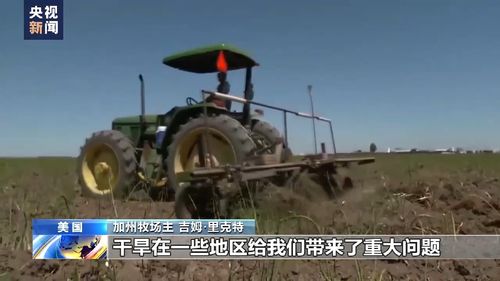 美国西部农场游戏攻略