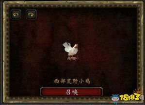 求魔兽战斗宠物攻略游戏