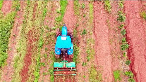 花田半亩游戏诗歌攻略