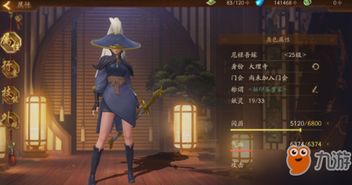 母上攻略游戏是什么游戏