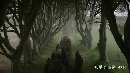 哈利波特新世界游戏攻略