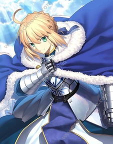 游戏盾娘的故事攻略