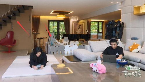 装修改造游戏攻略学生