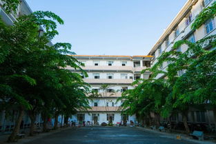 公寓新生活游戏攻略