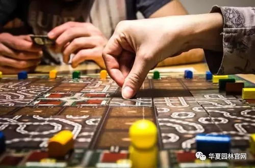 芬兰人抢购攻略游戏