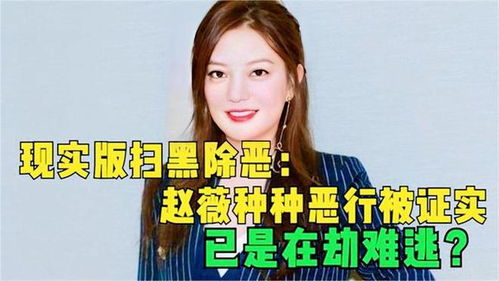 李凯馨致歉否认网传辱华录音