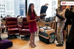 28岁环球小姐因学历造假获刑