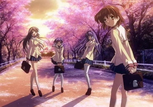 樱花次元世界游戏攻略