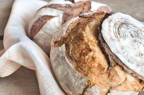 年轻人涌入医院买面包