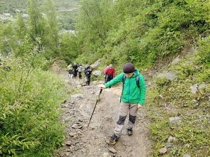 四姑娘山一游客疑因高反身亡