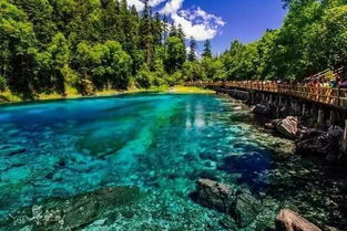 杭州旅游攻略12字游戏