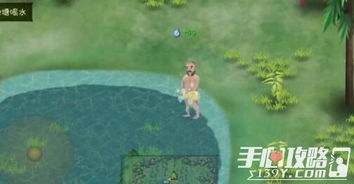 过沼泽的游戏玩法攻略