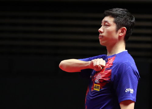 陈梦回忆因麒麟臂漏洞退赛