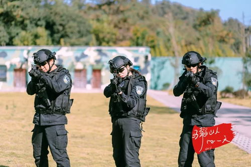 特警和美女巡逻游戏攻略