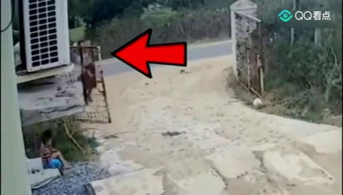 男子家中加压水塔突然爆炸 男子家中加压水塔突然爆炸