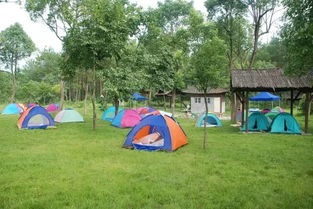 野外露营攻略游戏室内