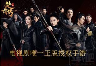 楚乔传游戏攻略下载