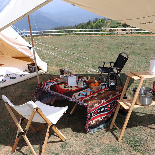 6岁露营游戏攻略外卖 6岁露营游戏攻略外卖