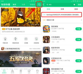 程序小游戏攻略手机版