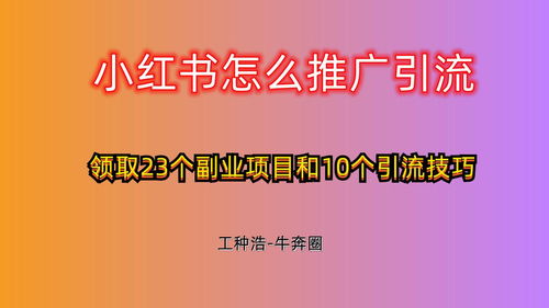 小红书运营攻略游戏推荐 小红书运营攻略游戏推荐