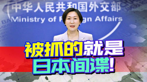外交部回应一日本间谍被判12年 外交部回应一日本间谍被判12年