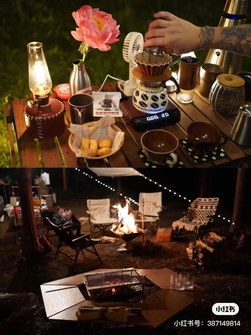 露营咖啡摊拍照攻略游戏