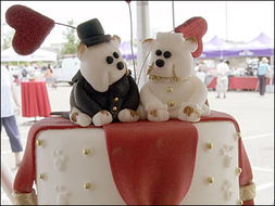 小狗婚礼游戏攻略图解