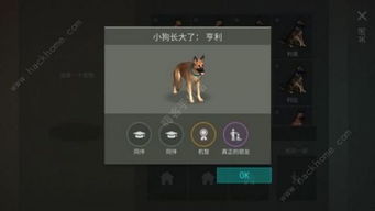 什么狗的游戏攻略软件