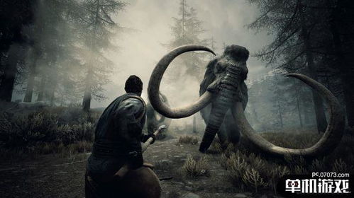 游戏推荐流放者柯南攻略