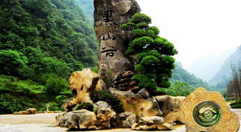 重庆黑山谷团建游戏攻略