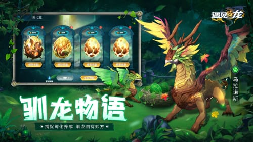 遇见神龙 游戏攻略图文