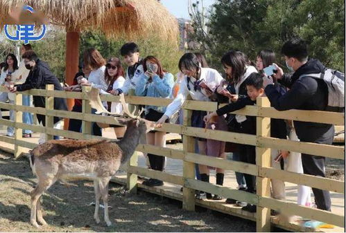 拒绝接待中国人的日本餐厅已歇业