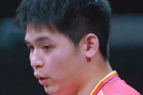 王楚钦鹰眼挑战成功