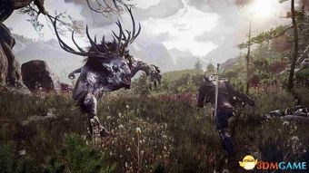 巫师3游戏调整难度攻略