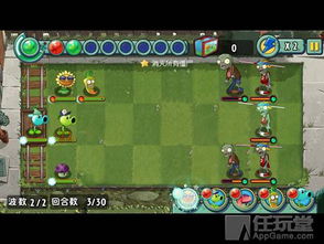 植物塔防小游戏攻略
