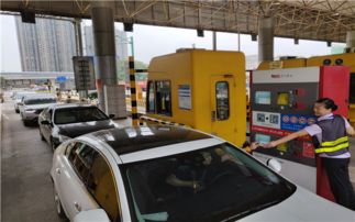 长蛇爬进收费站岗亭 收费员惊吓逃离