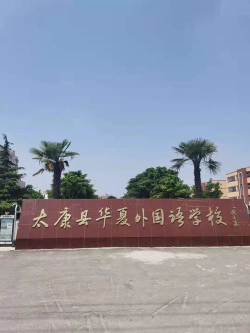 黄子韬谈卫生巾爆单:交易额超4000万