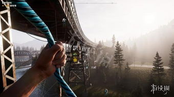 孤岛惊魂5国外游戏攻略 孤岛惊魂5国外游戏攻略