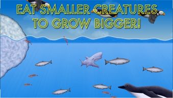 美味海洋的小游戏攻略