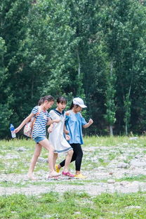 野外露营攻略活动游戏