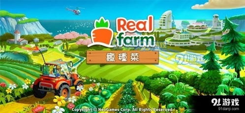 限时种菜电脑游戏攻略