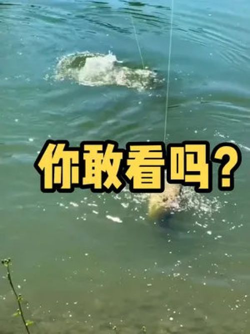 游戏天天钓鱼黑坑攻略 游戏天天钓鱼黑坑攻略