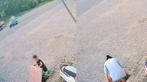 学生掉化粪池 父亲:池上仅木板和砖