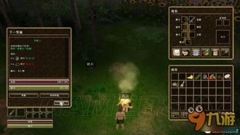 天然解玩家的攻略游戏