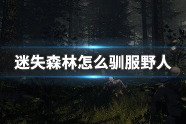 互动游戏之迷失森林攻略